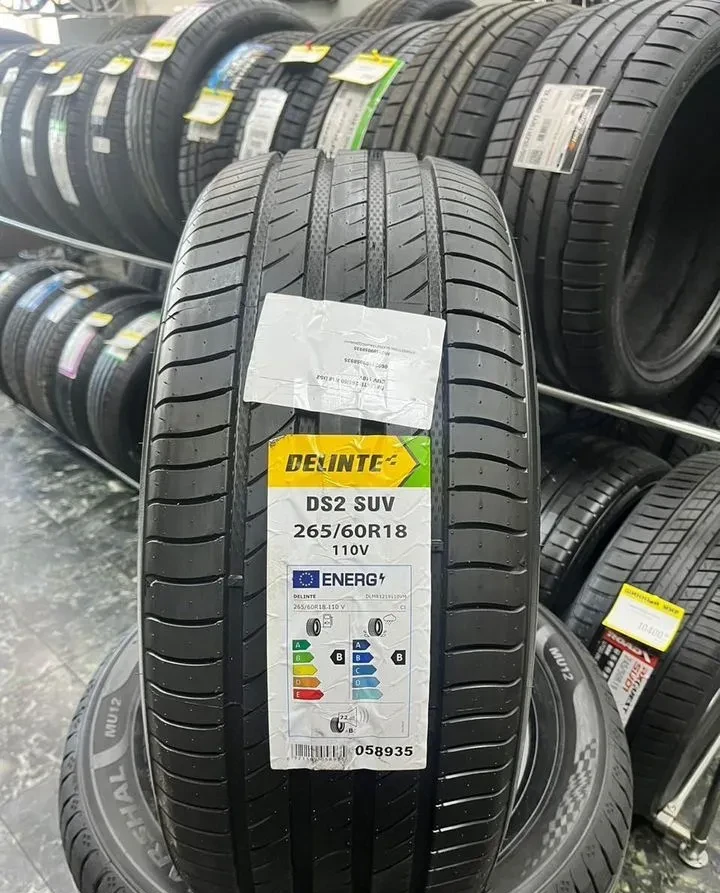 Delinte DS2 SUV 265/60 R18 110V
