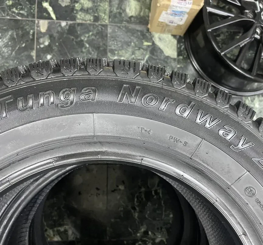Tunga Nordway 2 195/65 R15 91Q #4