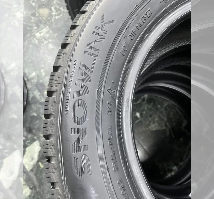 Triangle PL01 185/65 R15 92R #2