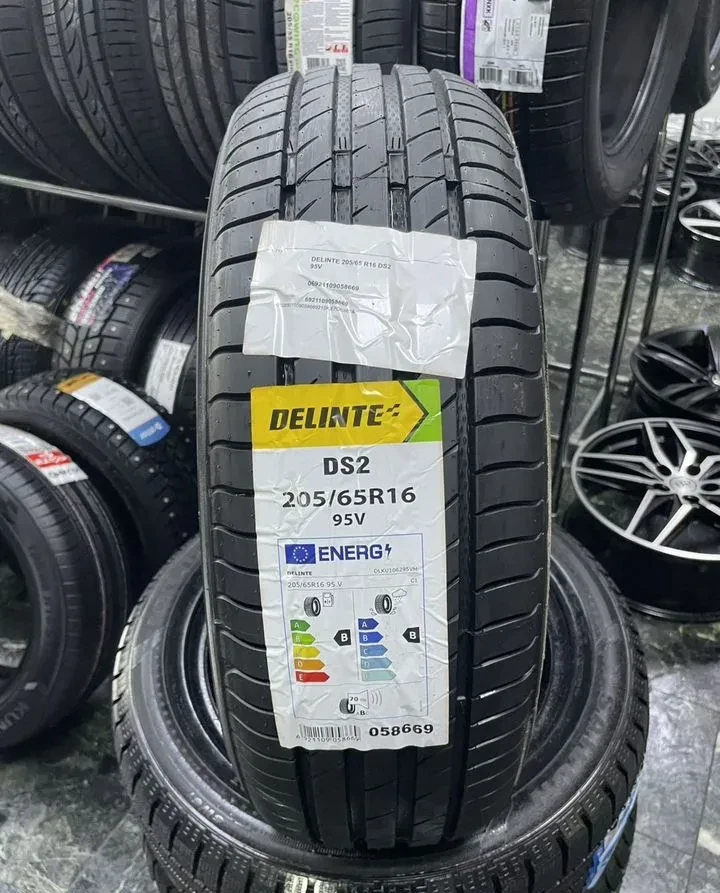 Delinte DS2 205/65 R16 95V