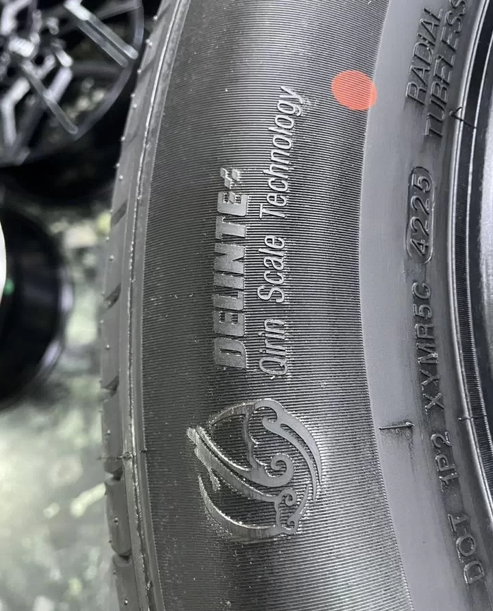 Delinte DS2 SUV 225/60 R18 104V #4